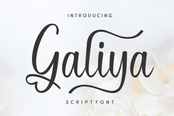 Galiya: A Script Font That Elevates Editorial Design