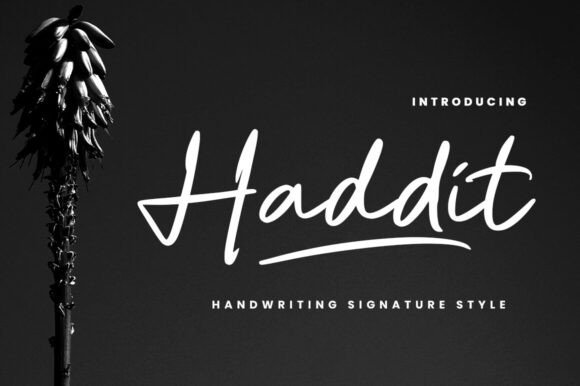 Haddit: A Script Font for Elegant Web Design