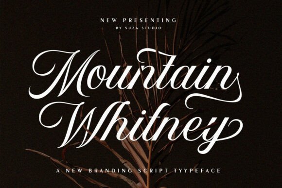 Mountain Whitney: A Script Font with Elegant Flair