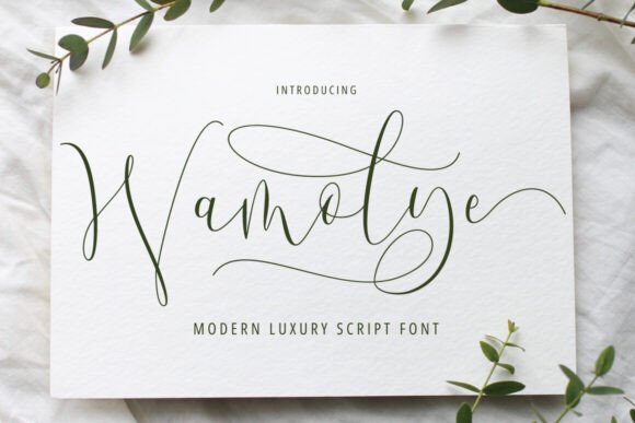 Wamolye: A Font That Elevates Branding with Elegance